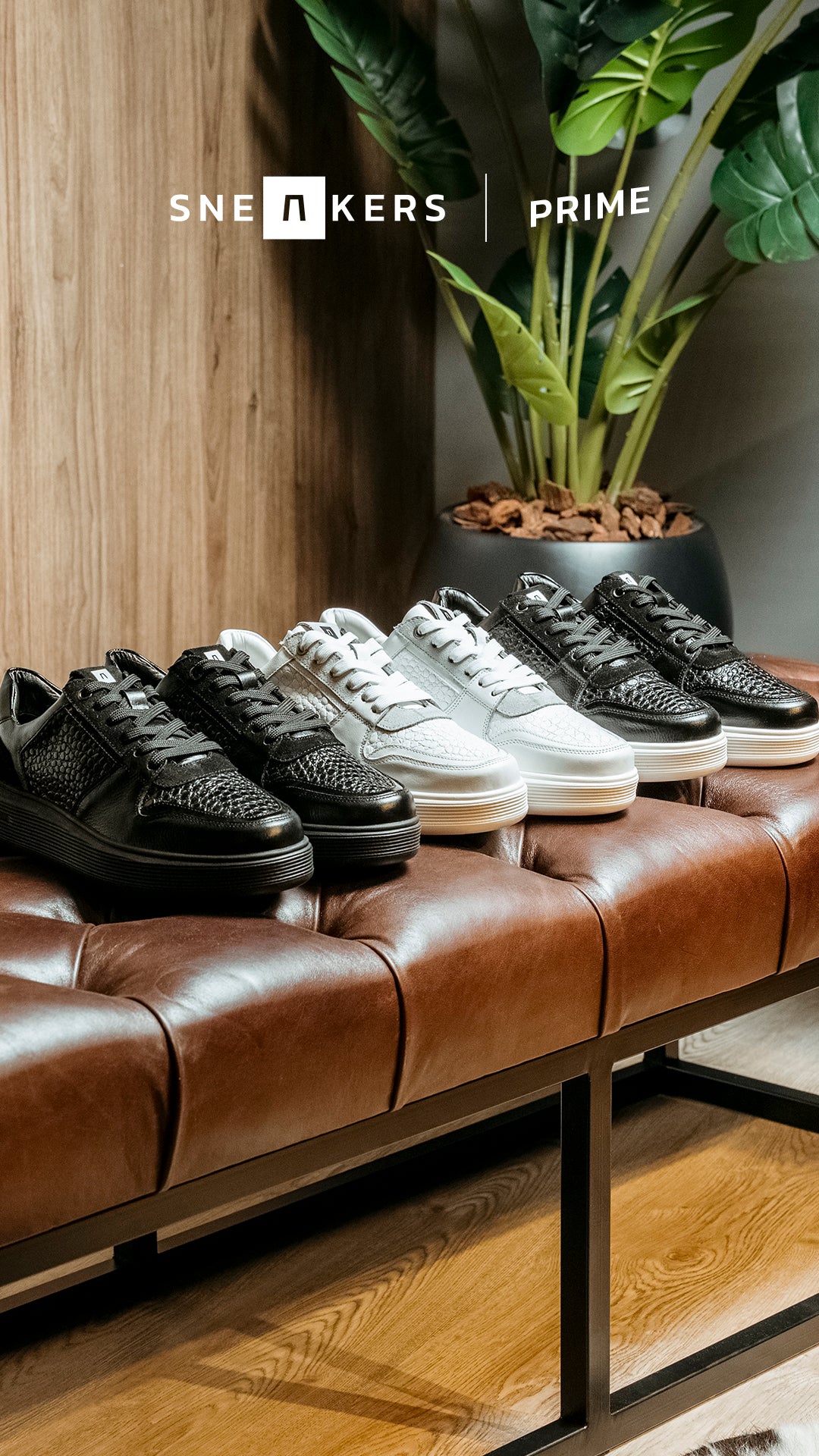 SNEAKERS