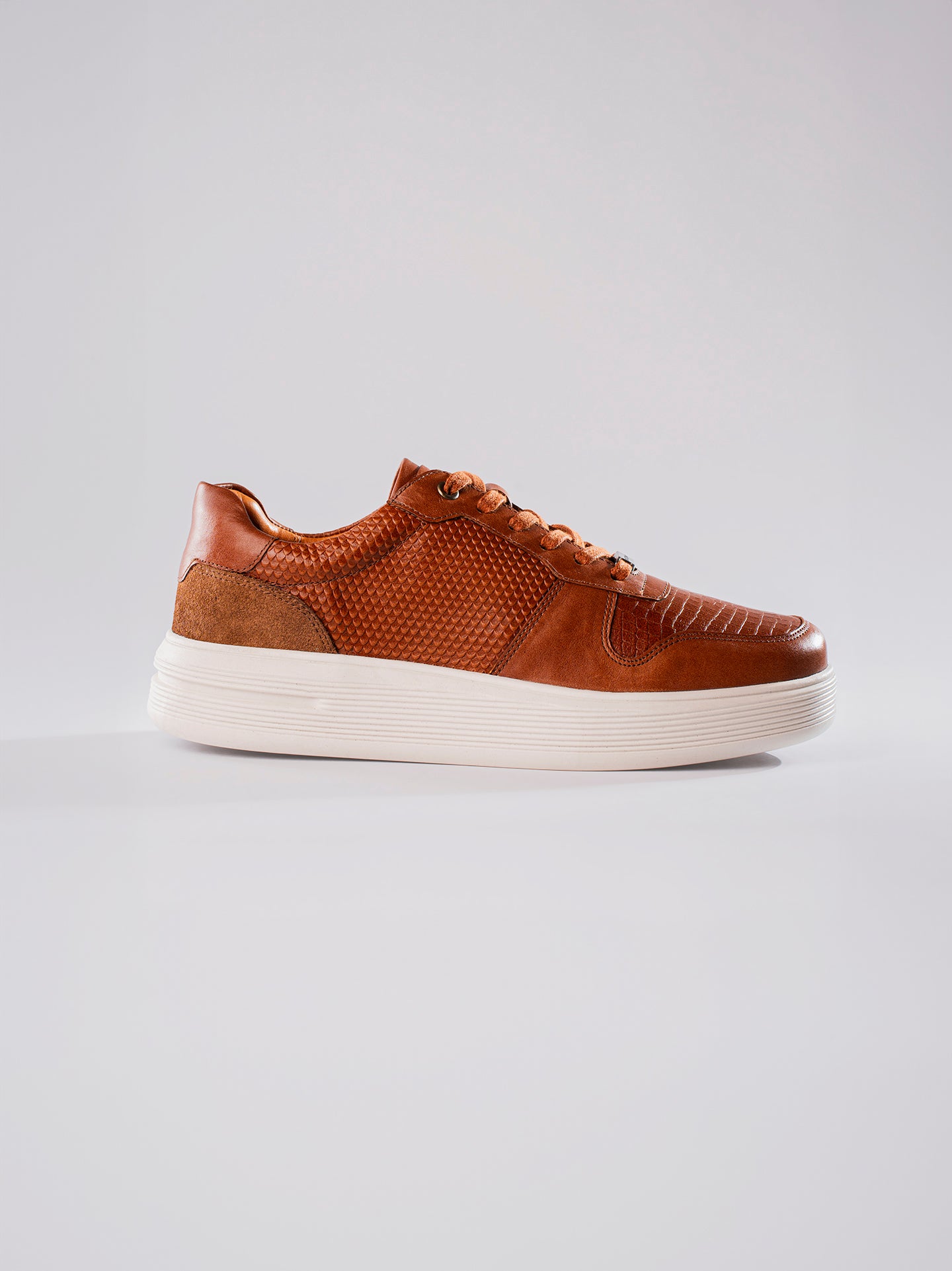 SNEAKERS MAIN - MIEL