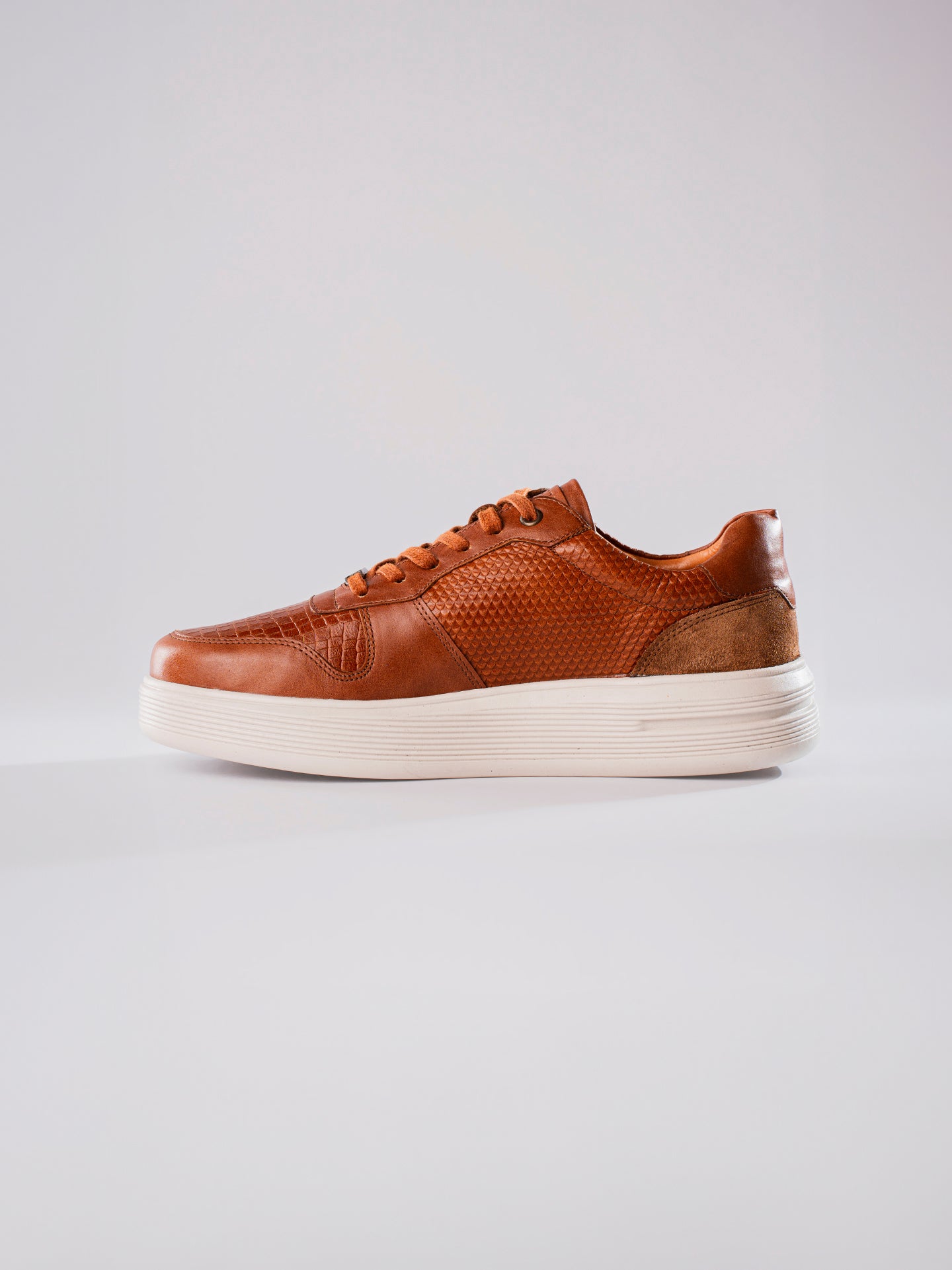 SNEAKERS MAIN - MIEL